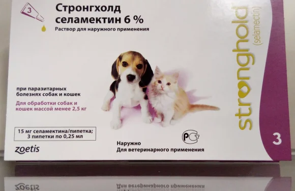 Стронгхолд для щенков: Защита и здоровье вашего питомца